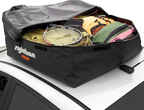 cargo-carrier-bag1.11