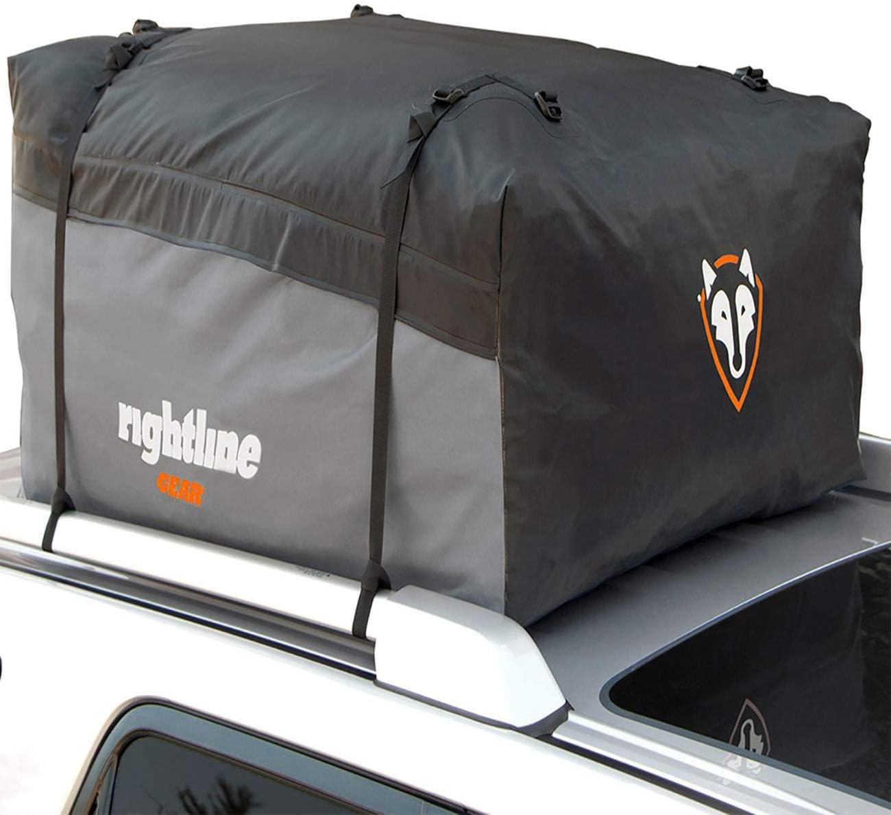 cargo-carrier-bag1.11