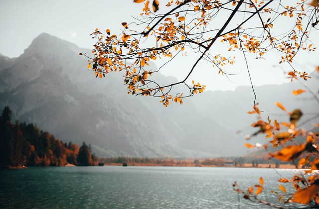 mountains-4950252_640